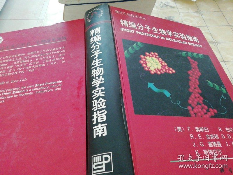 细胞治疗研发：一场医学革新的征途