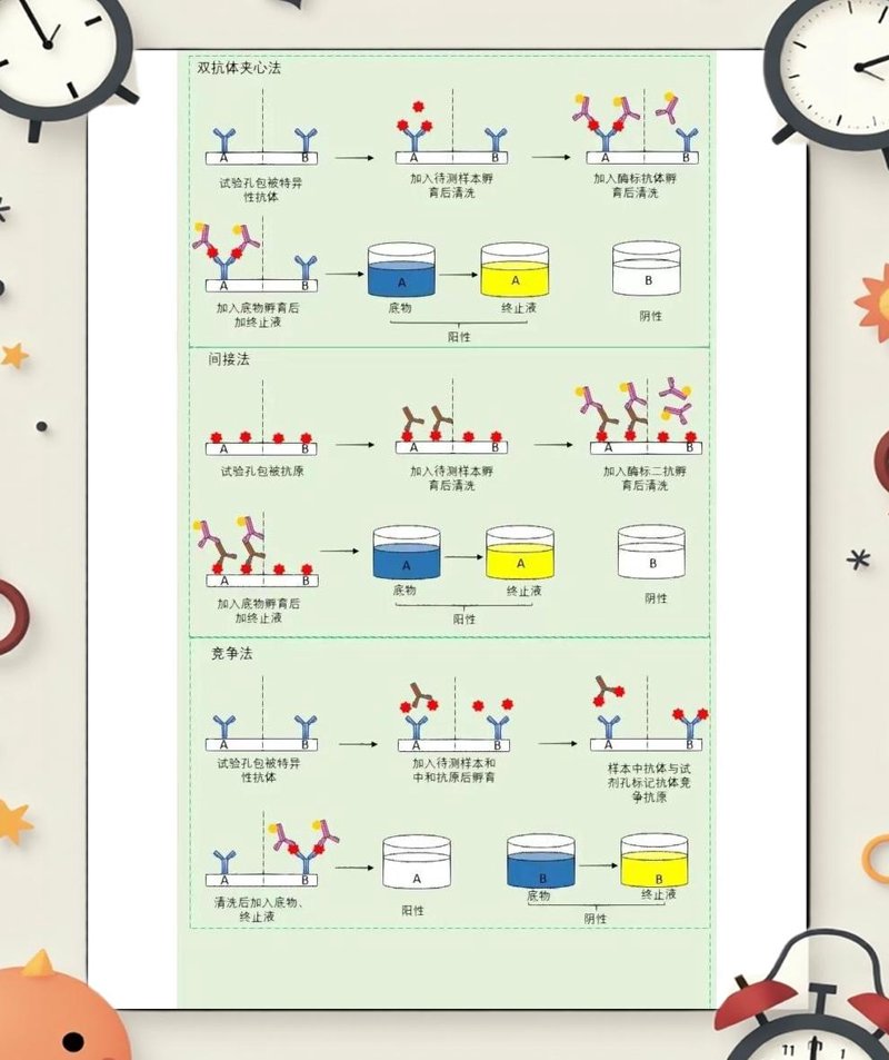 生物科技公司的未来：探索生命科学的无限可能
