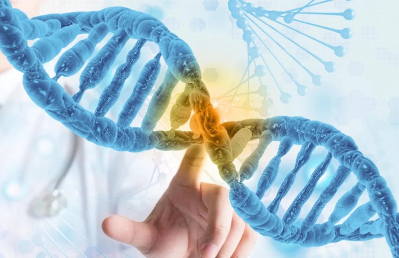 生物科技公司的崛起：一场革命性的变革