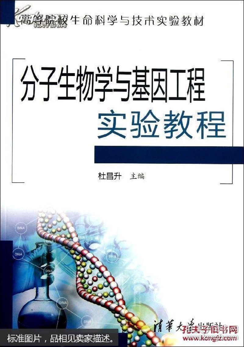 细胞治疗研发：前沿科技与挑战并存