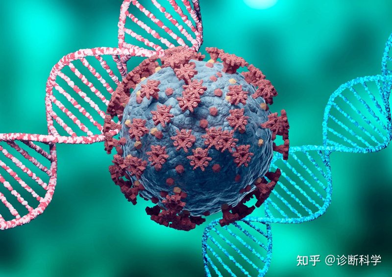 在生物医药研发领域，外包服务已经成为许多企业降低成本、提高效率的重要手段。本文将通过对比分析，探讨国内和国际生物医药研发外包服务商的优劣势，并结合具体案例说明如何选择合适的合作伙伴。